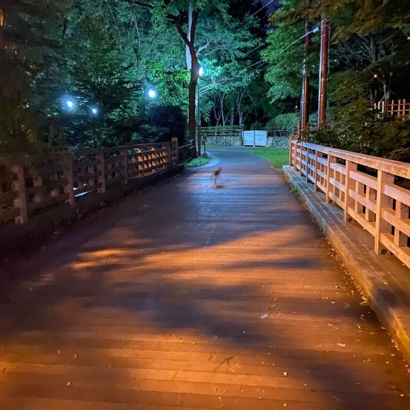 コンタッチさんが投稿した中島公園駅に関する口コミの画像