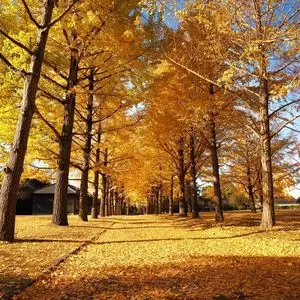 茨城県立歴史館
