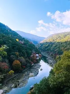 嵐山 3枚目