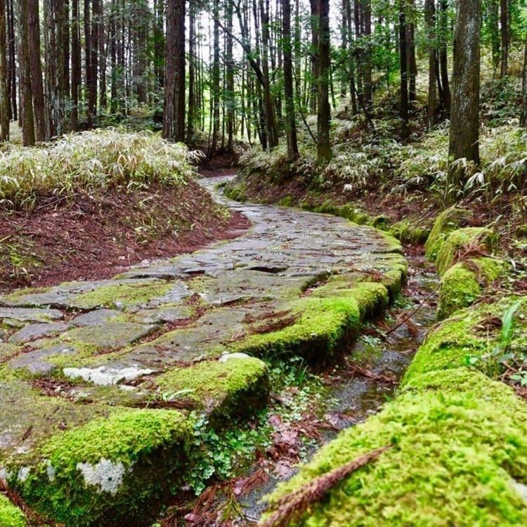 ＤＪゴン太さんが投稿した中山道　落合の石畳に関する口コミの画像