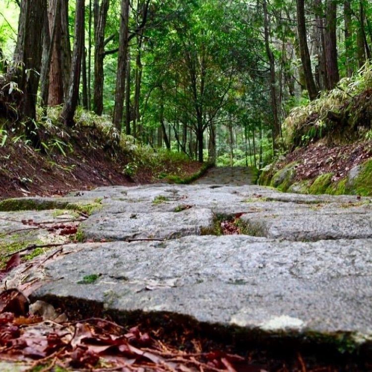 ＤＪゴン太さんが投稿した中山道　落合の石畳に関する口コミの画像