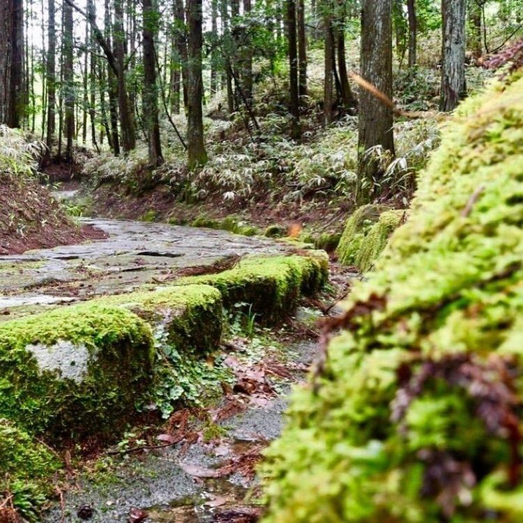 ＤＪゴン太さんが投稿した中山道　落合の石畳に関する口コミの画像