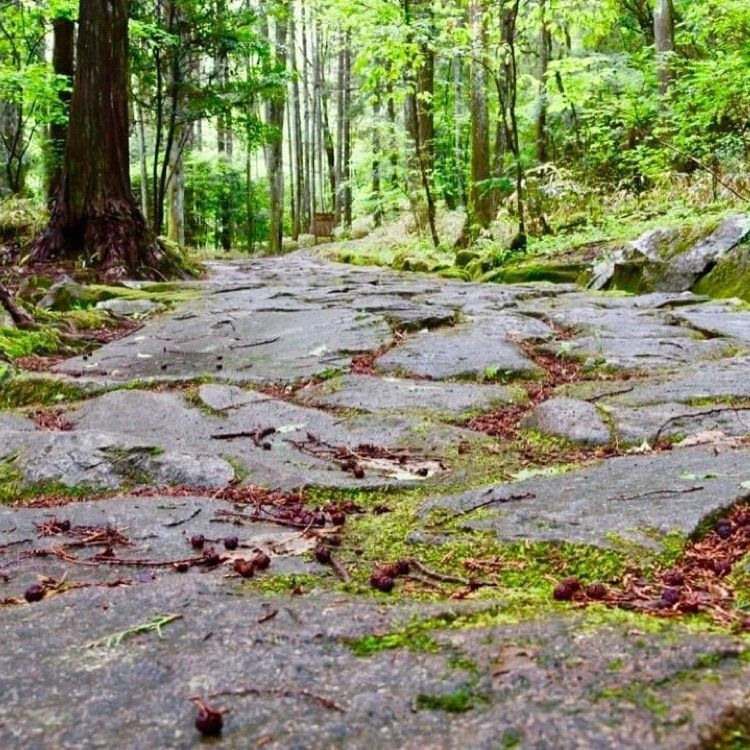 ＤＪゴン太さんが投稿した中山道　落合の石畳に関する口コミの画像