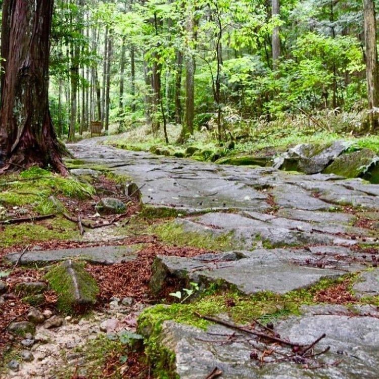 ＤＪゴン太さんが投稿した中山道　落合の石畳に関する口コミの画像