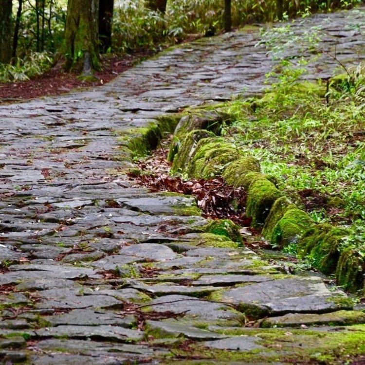 ＤＪゴン太さんが投稿した中山道　落合の石畳に関する口コミの画像