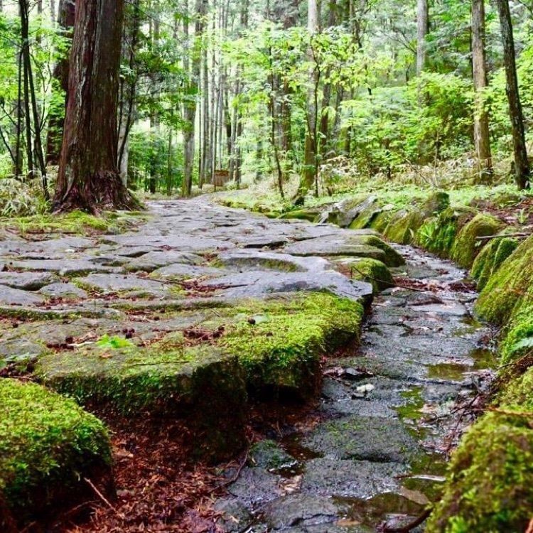ＤＪゴン太さんが投稿した中山道　落合の石畳に関する口コミの画像