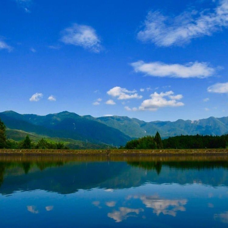 ＤＪゴン太さんが投稿した恵那山（岐阜県中津川市）に関する口コミの画像