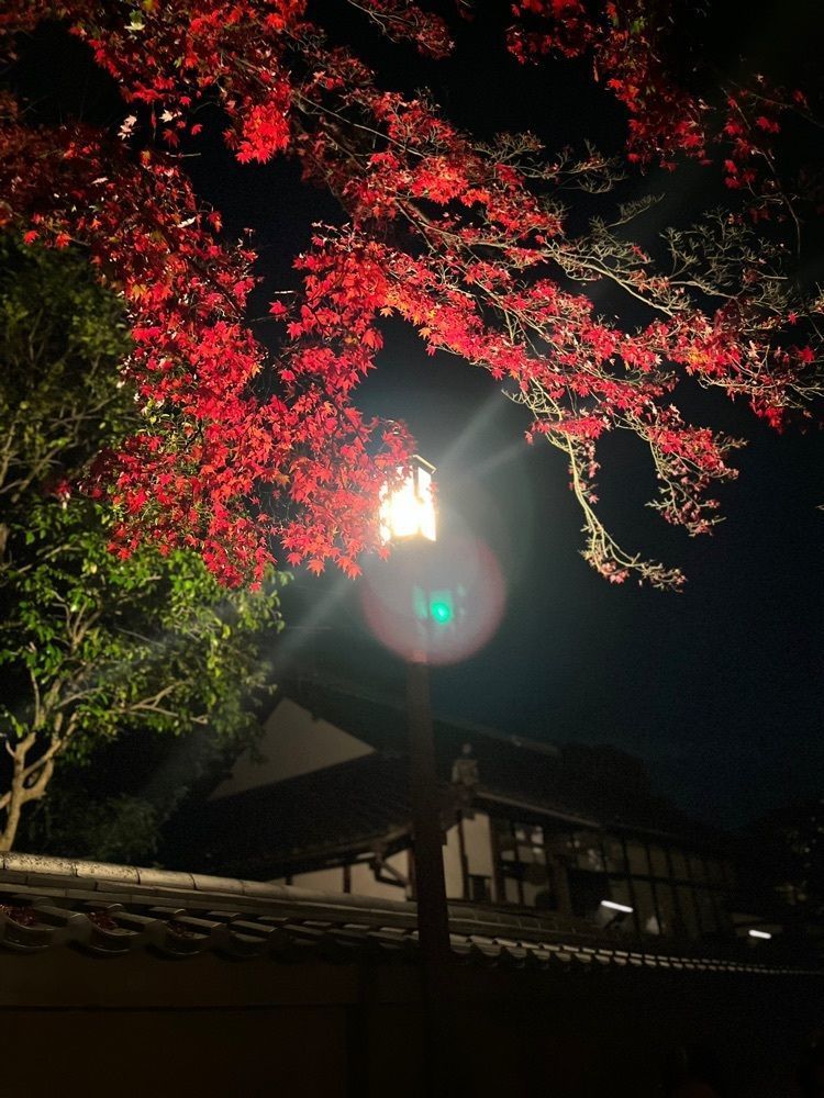 chou chou tabiさんが投稿した高台寺の紅葉に関する口コミの画像