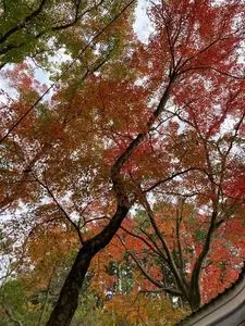 龍泉寺（岡山県岡山市）