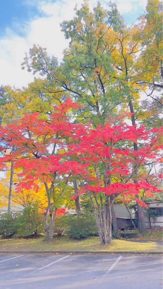 miiさんが投稿した埼玉県立自然の博物館に関する口コミの画像