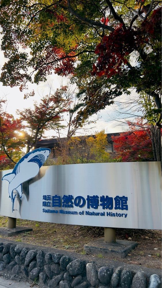 miiさんが投稿した埼玉県立自然の博物館に関する口コミの画像