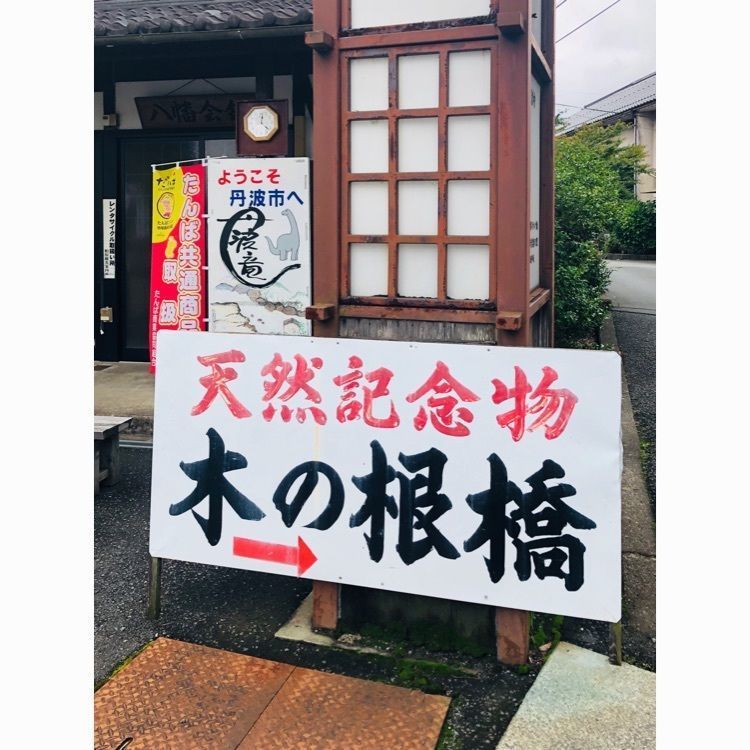 ゆうさんが投稿した木の根橋に関する口コミの画像