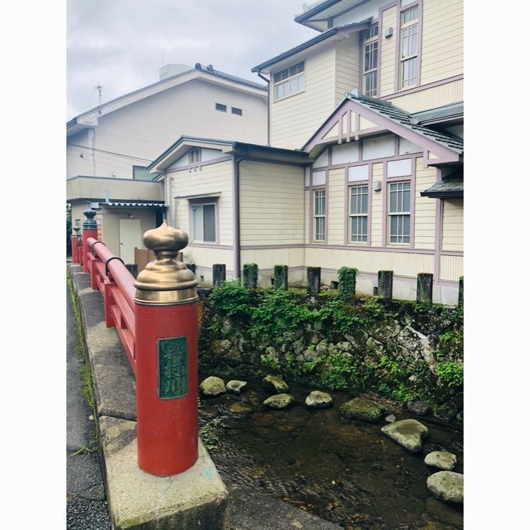 ゆうさんが投稿した木の根橋に関する口コミの画像