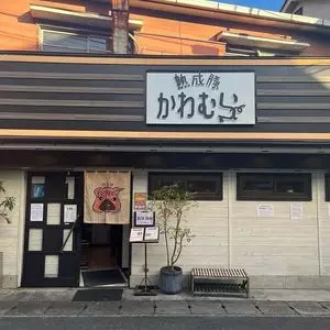 熟成豚 かわむら(【旧店名】とんかつ食堂 熟豚) 3枚目