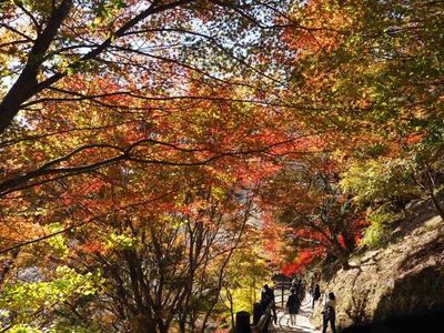 川見薬師寺（瑠璃光山薬師寺） 4枚目