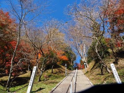 川見薬師寺（瑠璃光山薬師寺） 5枚目