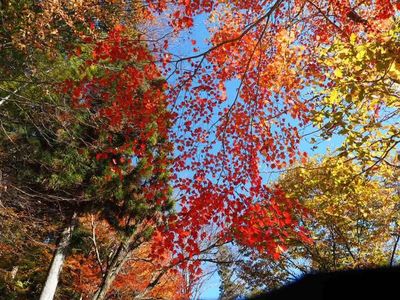 川見薬師寺（瑠璃光山薬師寺） 7枚目