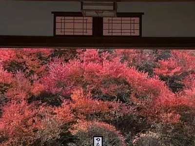 但馬安国寺