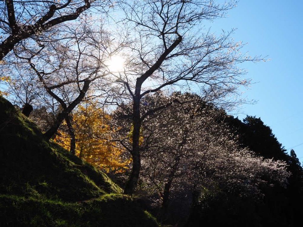Howl Monさんが投稿した小原ふれあい公園に関する口コミの画像