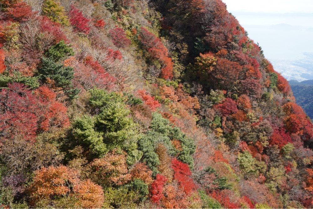 mt0130さんが投稿した仁田峠に関する口コミの画像