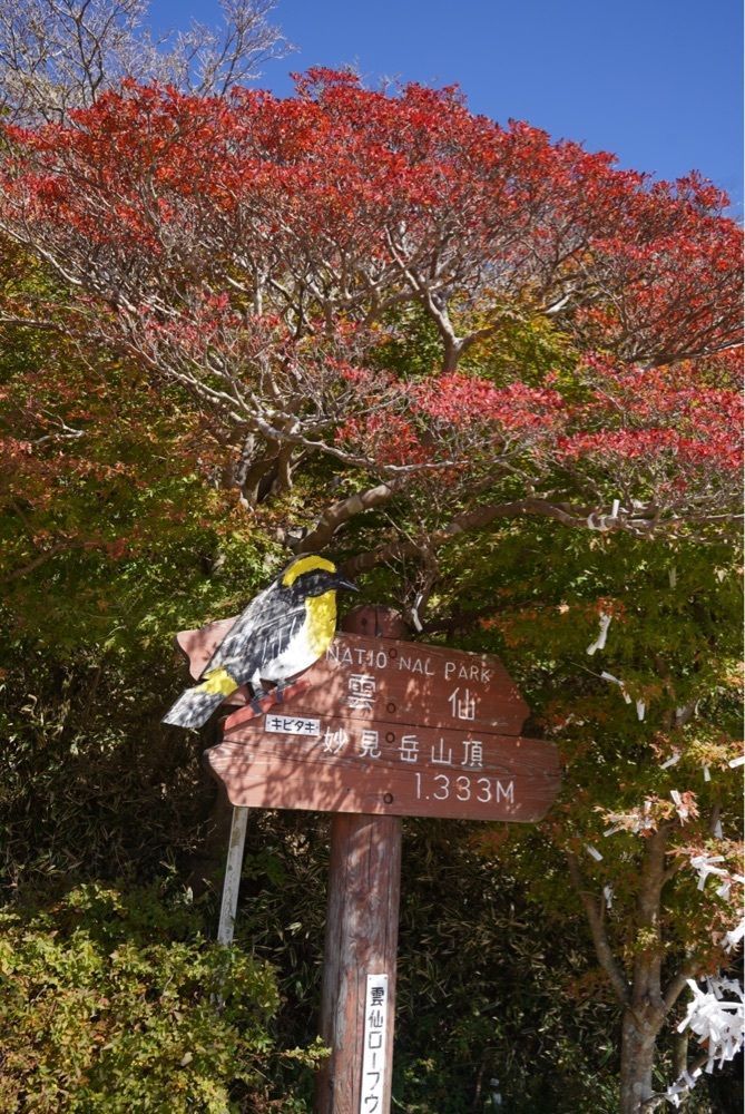 mt0130さんが投稿した仁田峠に関する口コミの画像