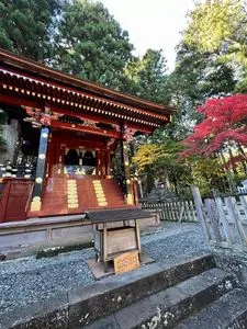 北口本宮冨士浅間神社の大杉