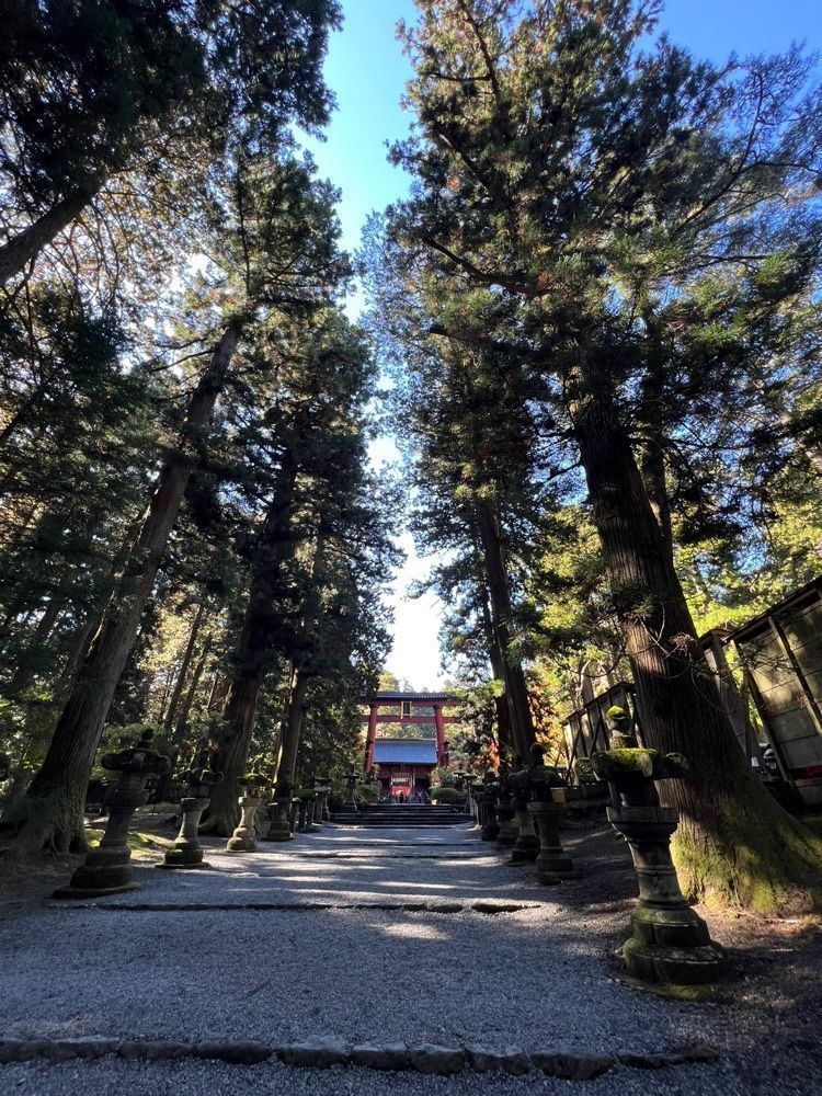 ビンカさんが投稿した北口本宮冨士浅間神社の大杉に関する口コミの画像