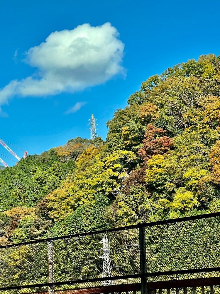 ビンカさんが投稿した(株)神奈川県農協茶業センターに関する口コミの画像