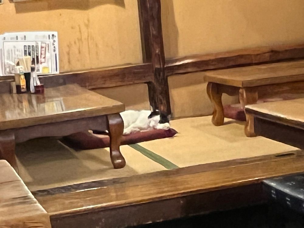 カリフラワーさんが投稿した煮込 千成 本店（せんなり）に関する口コミの画像