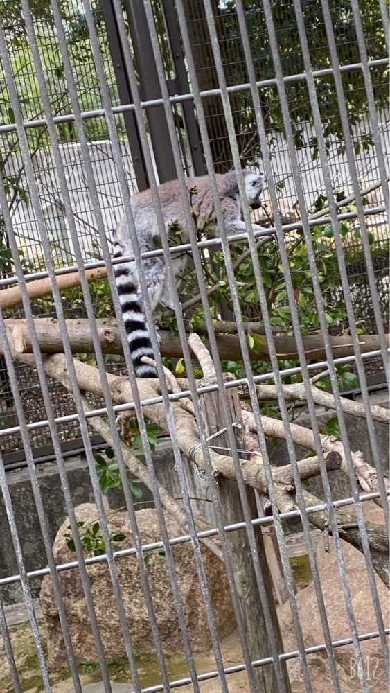 とくしま動物園　北島建設の森