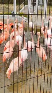 とくしま動物園　北島建設の森