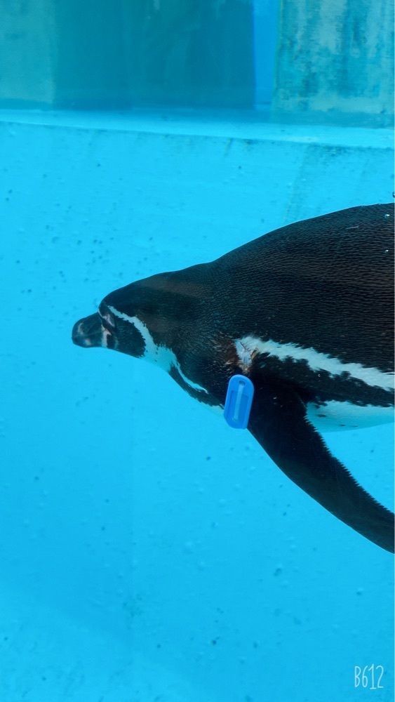 22kaguraさんが投稿したとくしま動物園　北島建設の森に関する口コミの画像