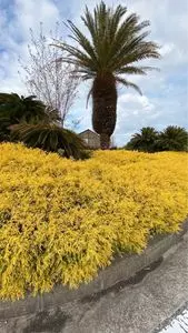 とくしま植物園