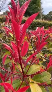 とくしま植物園