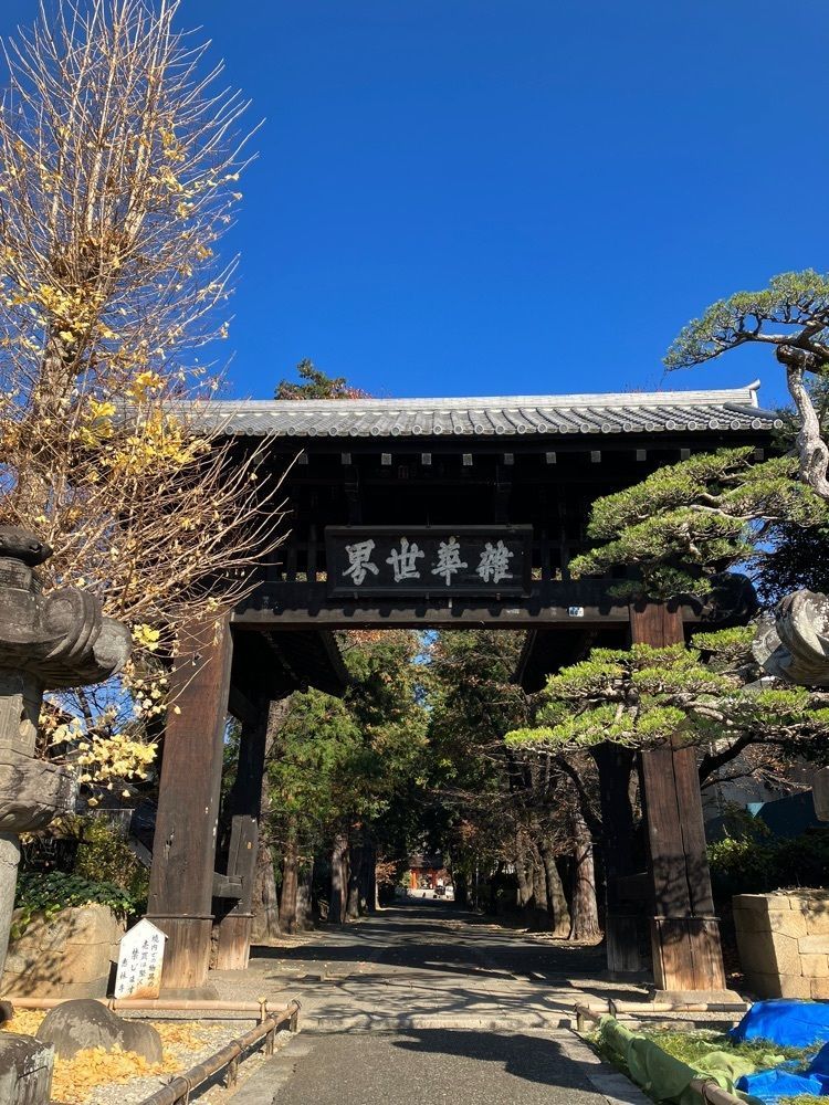 Nの画像