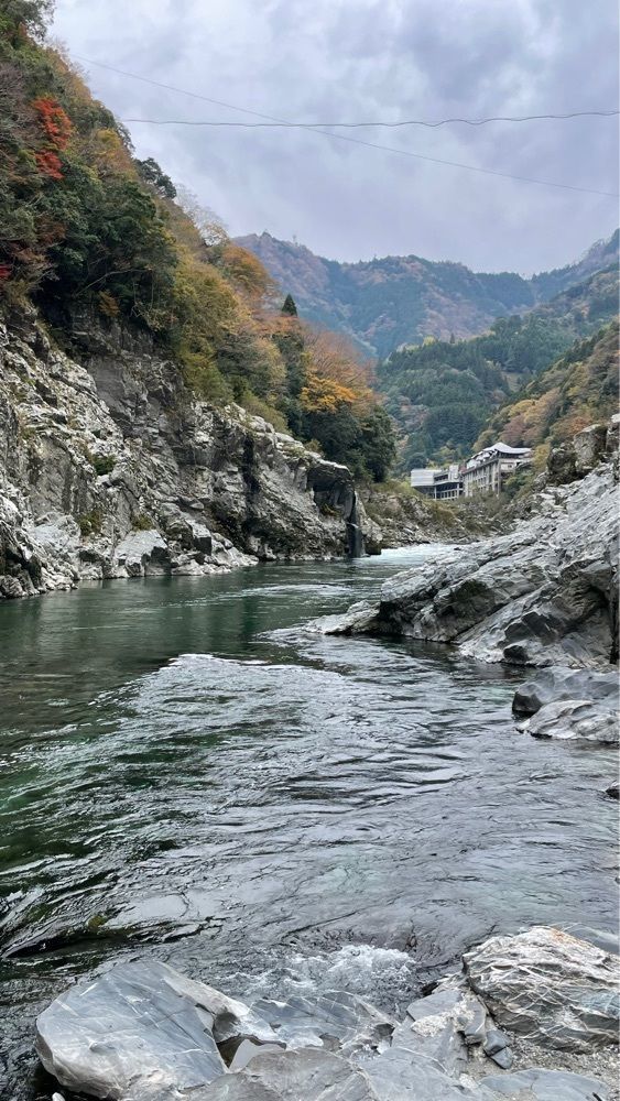 みぃさんが投稿したレストラン 大歩危峡まんなか（おおぼけきょうまんなか）に関する口コミの画像