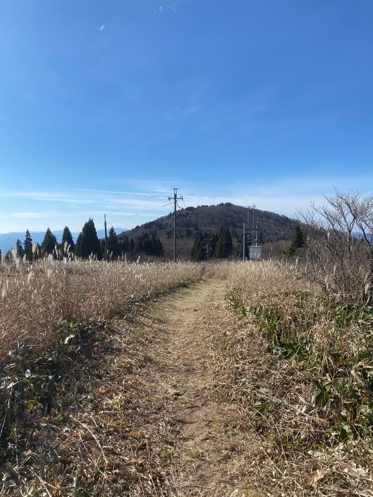 あるふぃすたさんが投稿した瑞穂ハイランドに関する口コミの画像