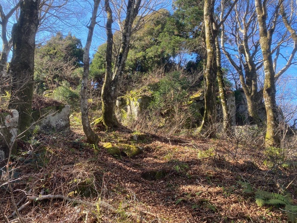 あるふぃすたさんが投稿した瑞穂ハイランドに関する口コミの画像