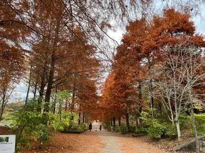 播磨中央公園 3枚目
