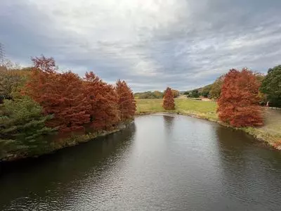 播磨中央公園 2枚目