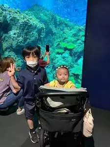 アクアワールド 茨城県大洗水族館 スーベニアショップモラモラ