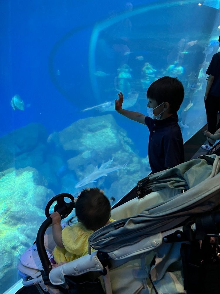 サイターマンさんが投稿したアクアワールド 茨城県大洗水族館 スーベニアショップモラモラに関する口コミの画像