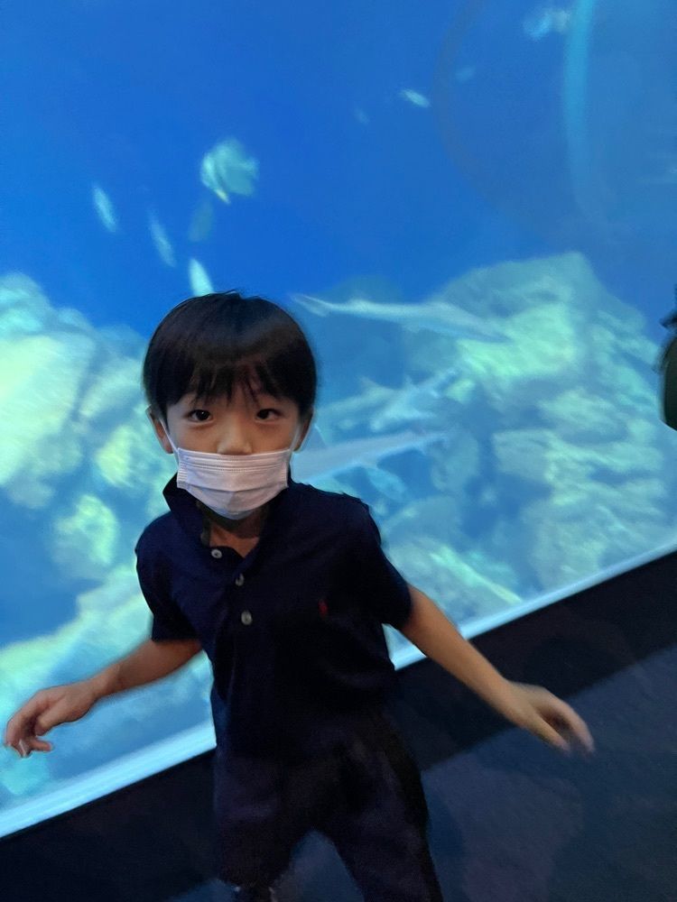 サイターマンさんが投稿したアクアワールド 茨城県大洗水族館 スーベニアショップモラモラに関する口コミの画像