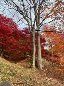 碓氷湖