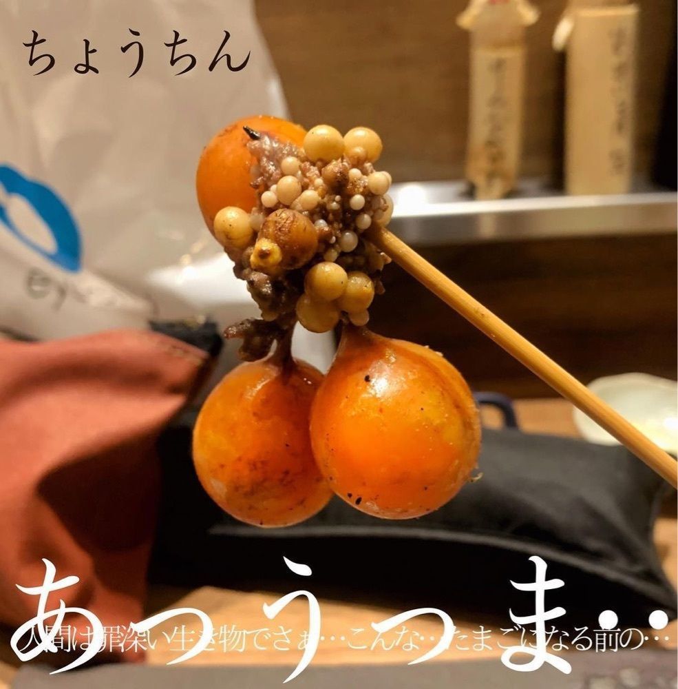 おでかけ探検部さんが投稿したやき鶏 『おお川』に関する口コミの画像