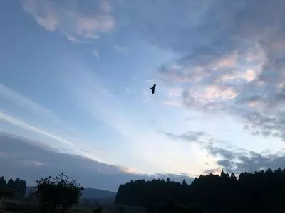 朽木オートキャンプ場