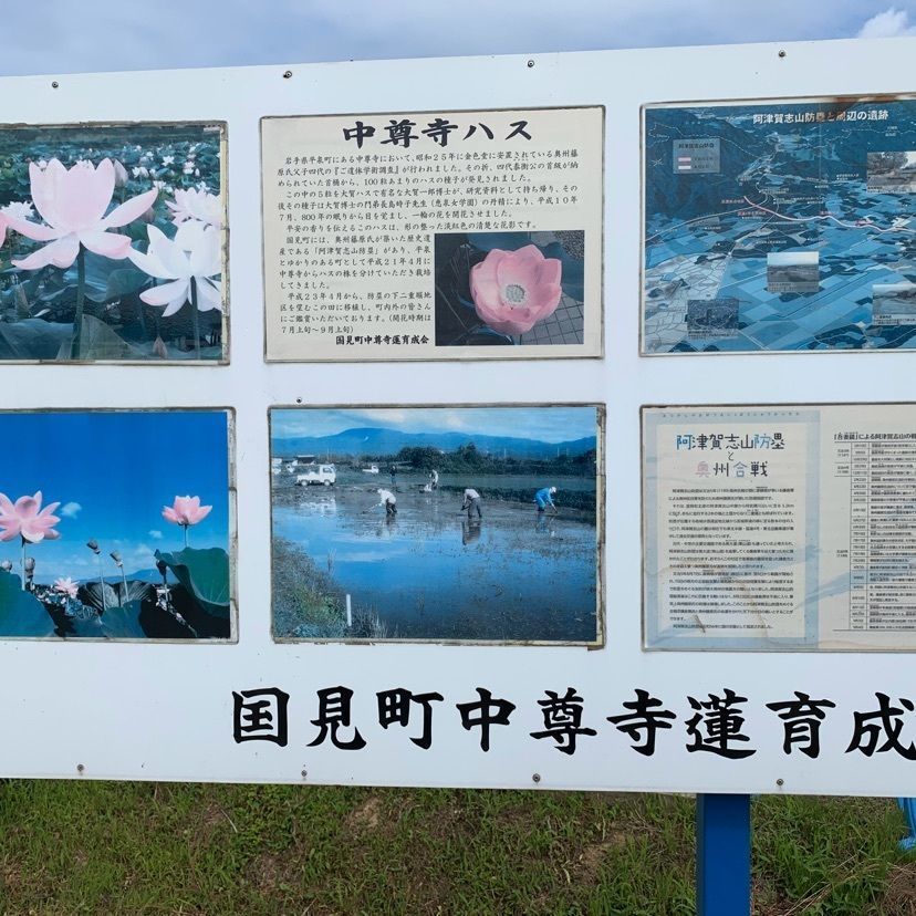tom_takedaさんが投稿した阿津賀志山に関する口コミの画像