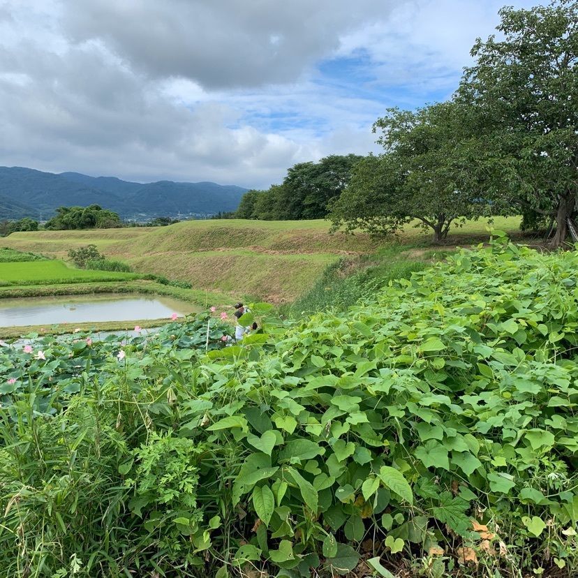 tom_takedaさんが投稿した阿津賀志山に関する口コミの画像