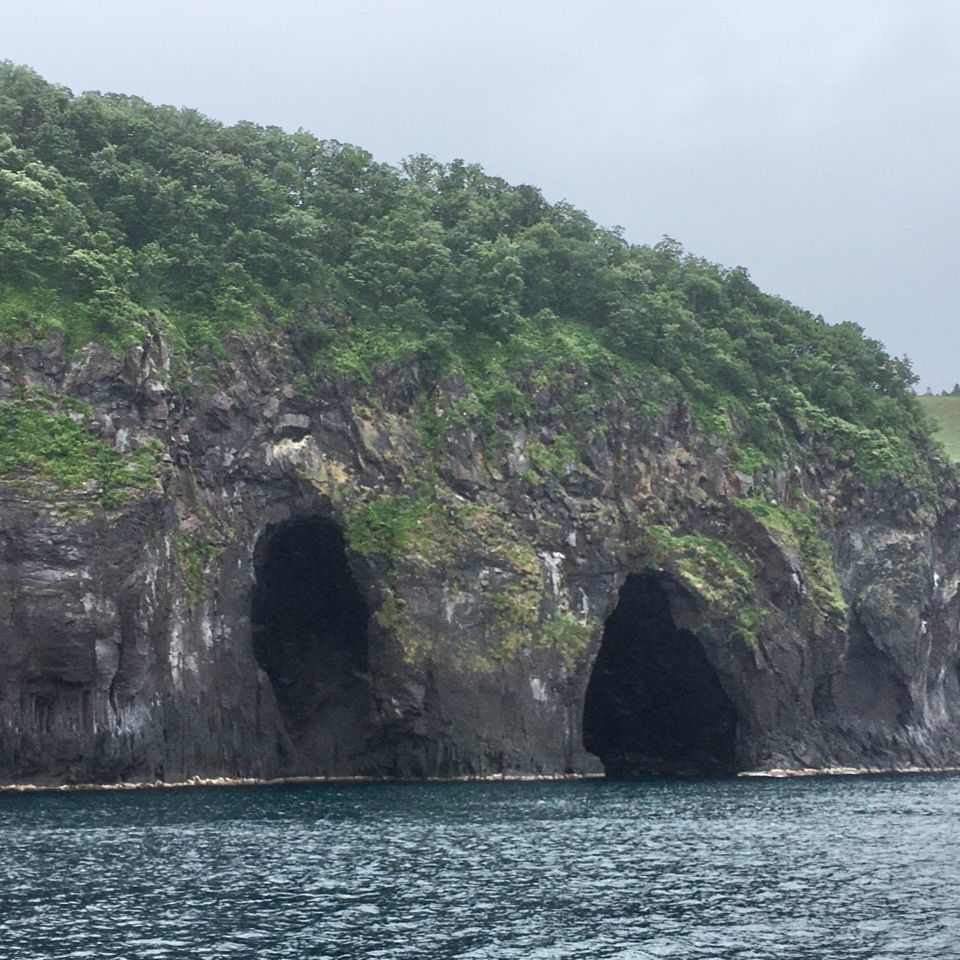 yoshiさんが投稿した知床海岸に関する口コミの画像