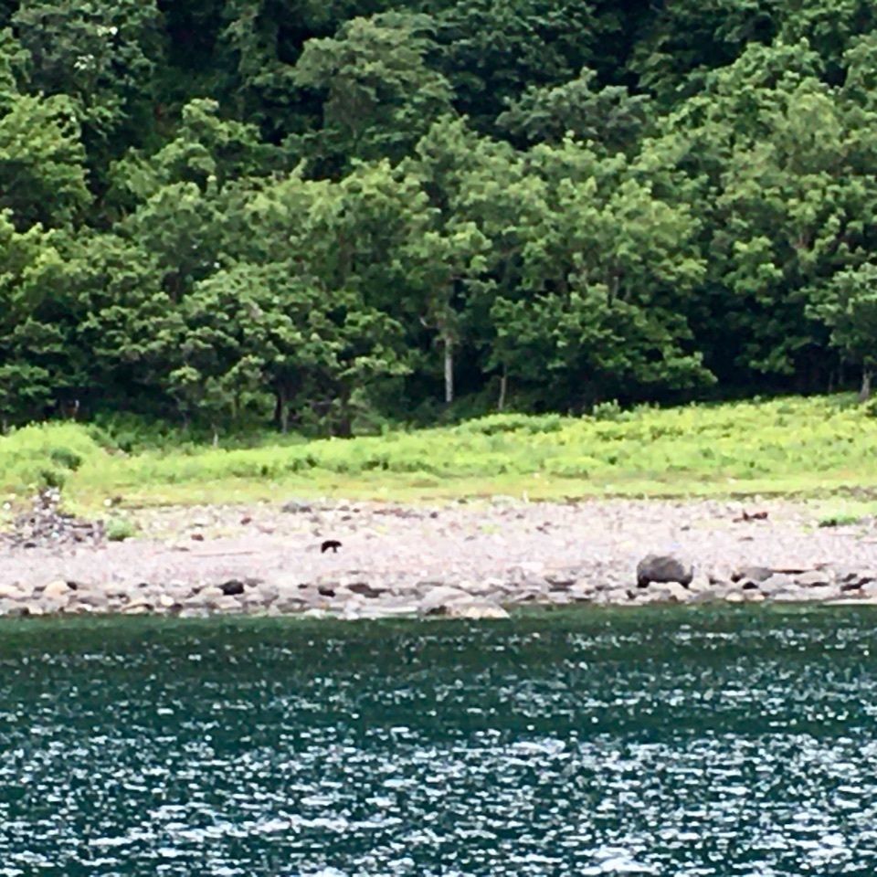 yoshiさんが投稿した知床海岸に関する口コミの画像